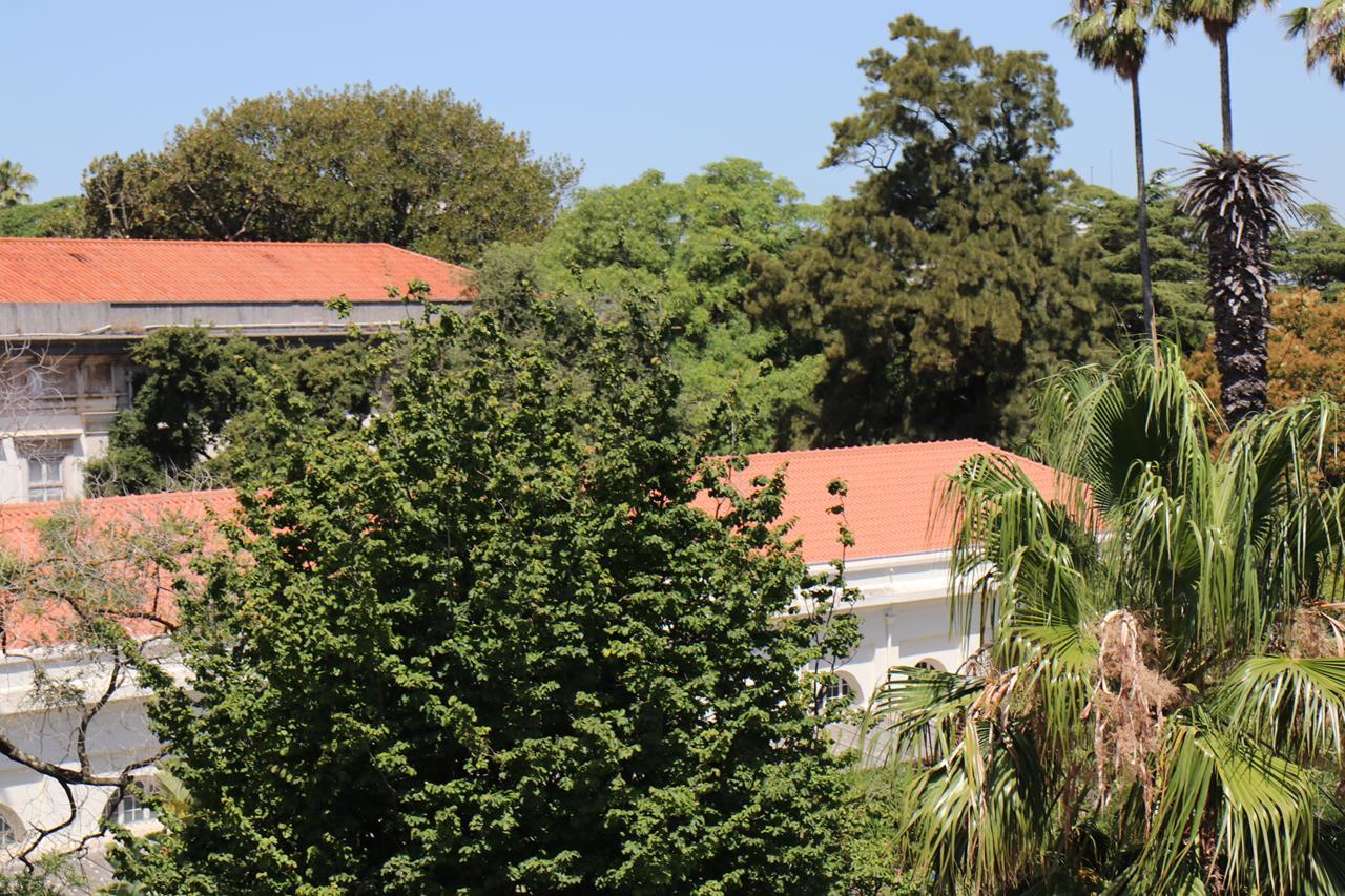 Botanic Views Guest House Lisbon Luaran gambar