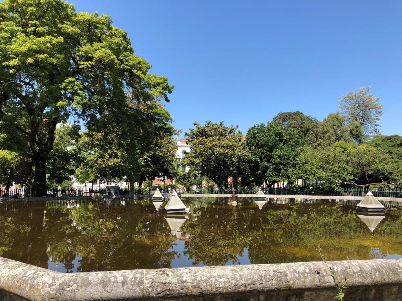 Botanic Views Guest House Lisbon Luaran gambar